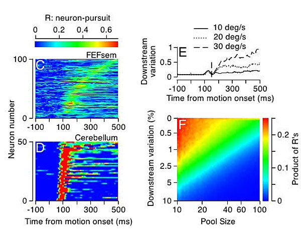 Figure 1: Responses of single neurons predict fluctuations in motor behavior...
